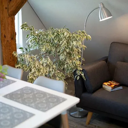 Klimatyzowany Apartament W Mragowie Mragowo