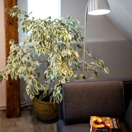 Klimatyzowany Apartament W Mragowie Apartment