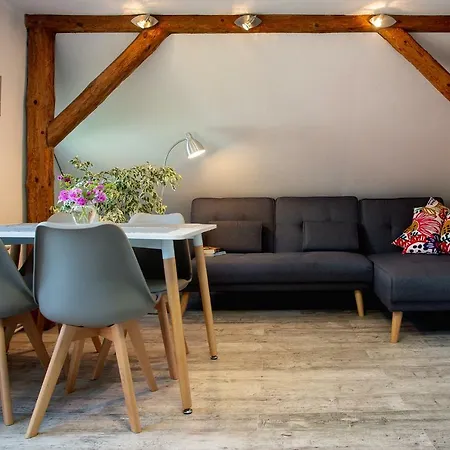 Klimatyzowany Apartament W Mragowie